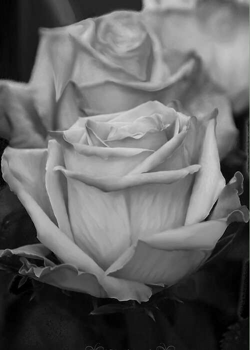 Rose Greeting Card featuring the photograph Tea Roses In Black and White #2 by Jeanette C Landstrom