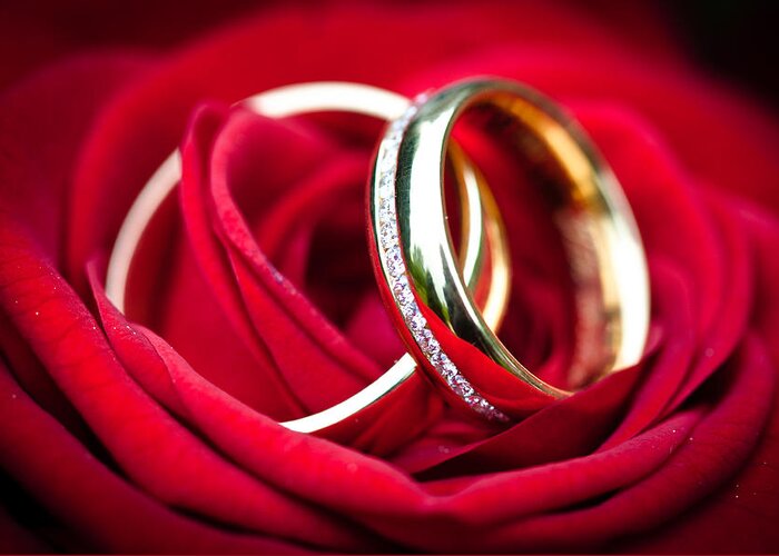 Wedding Greeting Card featuring the photograph Wedding Rings #2 by Ralf Kaiser