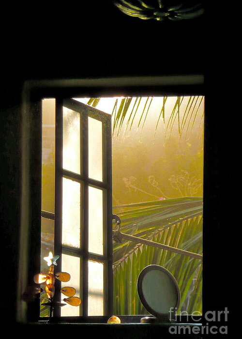 Open Window Greeting Card featuring the photograph Window to the Soul #2 by Amy Fearn