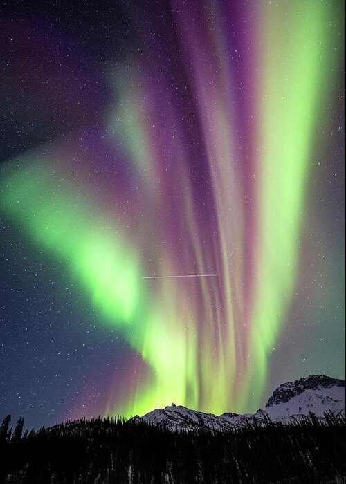 Alaska Greeting Card featuring the photograph Aurora Borealis In Alaska #22 by Chris Madeley