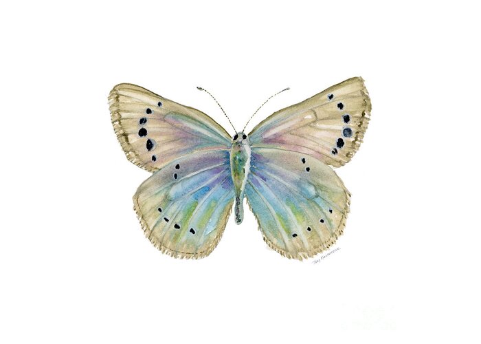 Alexis Greeting Card featuring the painting 25 Alexis Butterfly by Amy Kirkpatrick