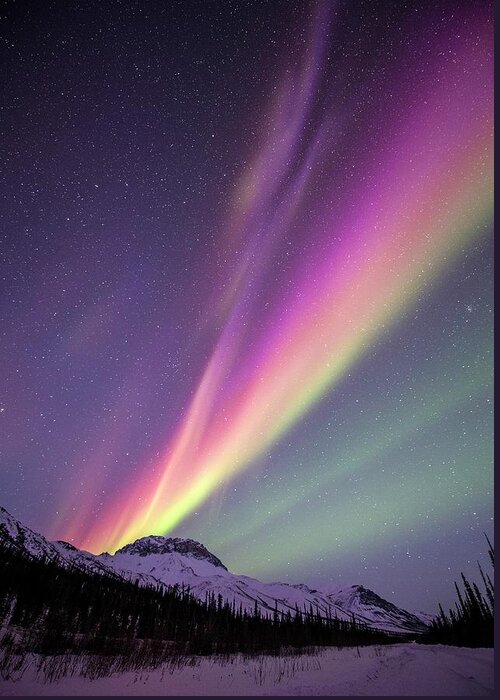 Alaska Greeting Card featuring the photograph Aurora Borealis In Alaska #27 by Chris Madeley