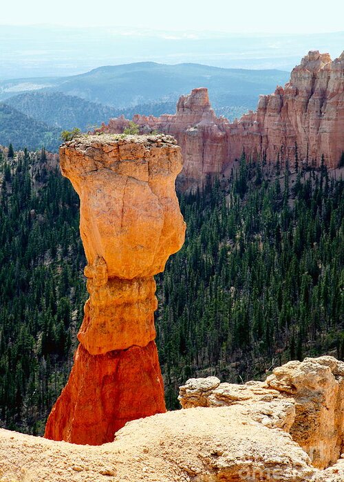 Bryce Greeting Card featuring the photograph Bryce Canyon #3 by Sophie Vigneault