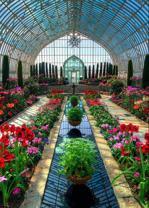 Sunken Garden Greeting Card featuring the photograph Como Conservatory #3 by Amanda Stadther