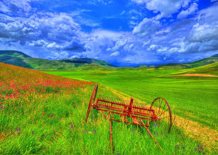 Castelluccio Greeting Card featuring the photograph Fields of dreams #3 by Midori Chan