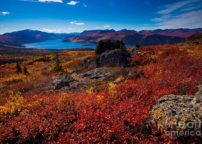 Adventure Greeting Card featuring the photograph Fish Lake - Yukon Territory - Canada #3 by Stephan Pietzko