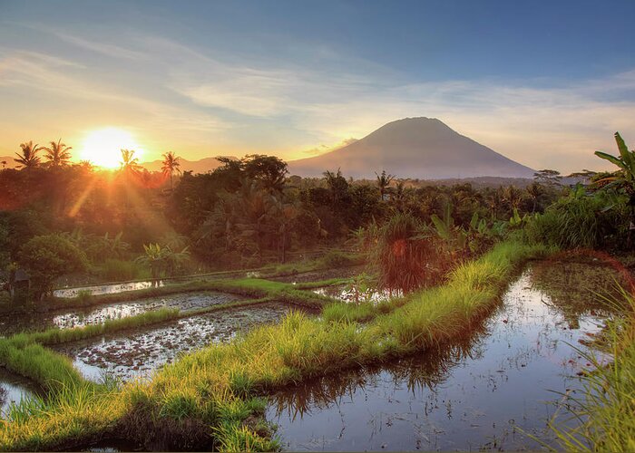Tranquility Greeting Card featuring the photograph Indonesia, Bali, Rice Fields And #3 by Michele Falzone