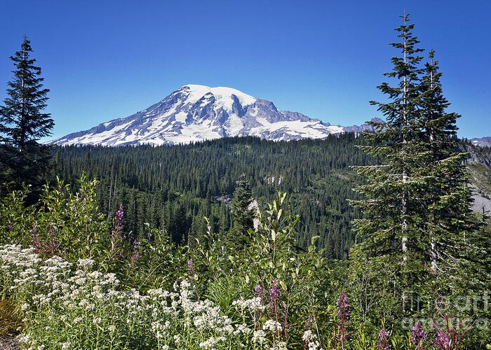 Cascades Mountains Greeting Card featuring the photograph Mount Ranier #3 by Ronald Lutz