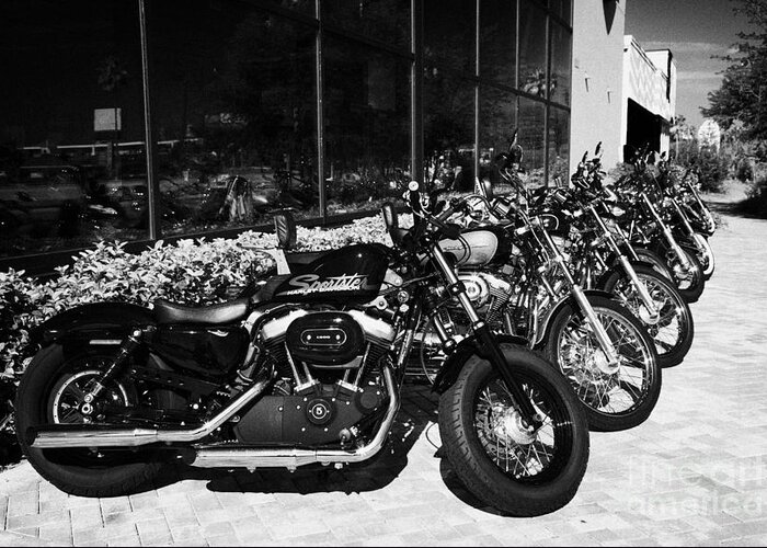 Harley-davidson Greeting Card featuring the photograph Row Of Harley Davidson Motorbikes Including Sportster Outside Motorcycle Dealership Orlando Florida #3 by Joe Fox