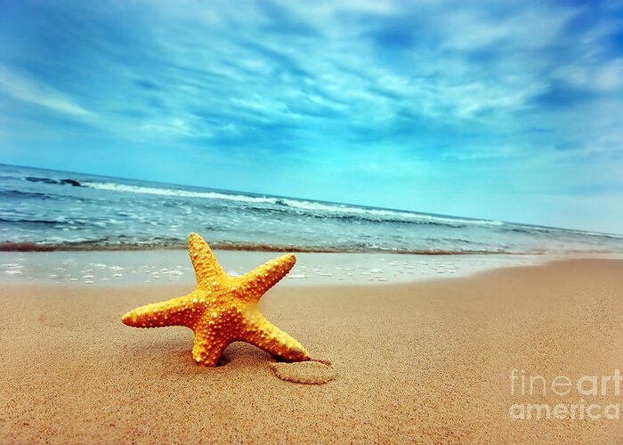 Abstract Greeting Card featuring the photograph Starfish #3 by Michal Bednarek