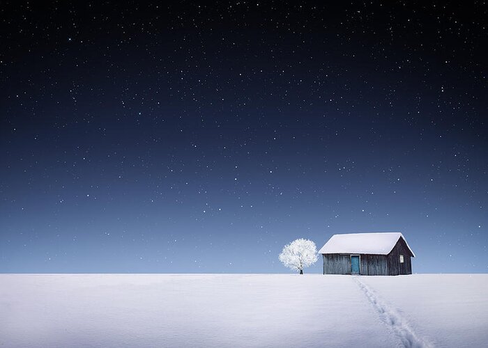 Winter Greeting Card featuring the photograph Winter by Bess Hamiti