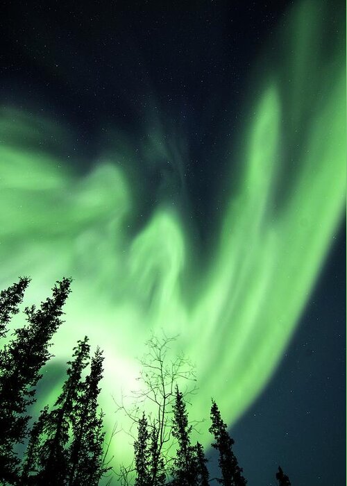 Alaska Greeting Card featuring the photograph Aurora Borealis In Alaska #33 by Chris Madeley