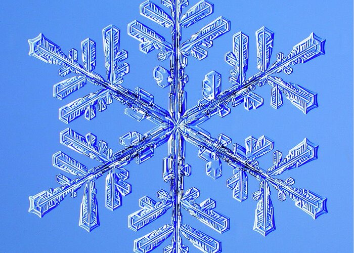 Snowflake Greeting Card featuring the photograph Snowflake #35 by Kenneth Libbrecht/science Photo Library