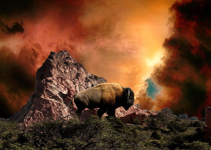 Animal Greeting Card featuring the photograph 3508 by Peter Holme III