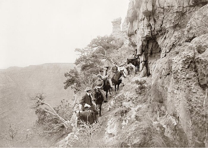 1906 Greeting Card featuring the photograph Grand Canyon Sightseers #4 by Granger