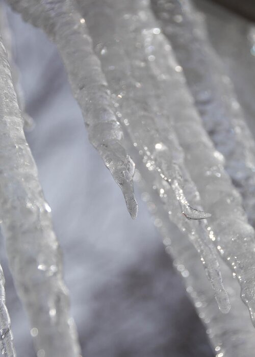 Ice Greeting Card featuring the photograph Icicles #4 by Susan Jensen