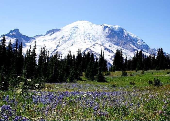 Mt. Rainier Greeting Card featuring the photograph Mt. Rainier by Jerry Cahill