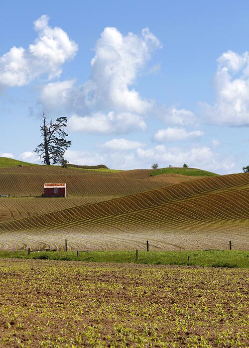 Agriculture Greeting Card featuring the photograph Old barn #4 by Les Cunliffe