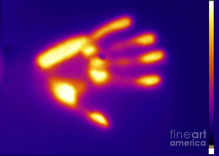 Digital Infrared Thermal Imaging Greeting Card featuring the photograph Thermal Shadow #4 by GIPhotoStock