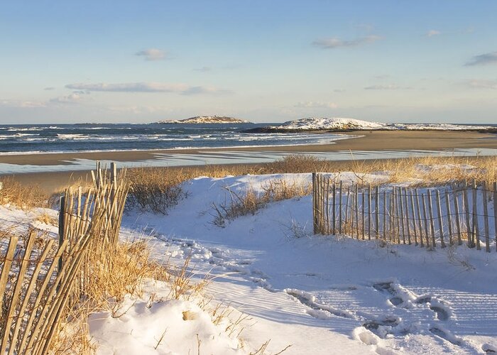 Popham Beach Greeting Card featuring the photograph Winter at Popham Beach State Park Maine #4 by Keith Webber Jr