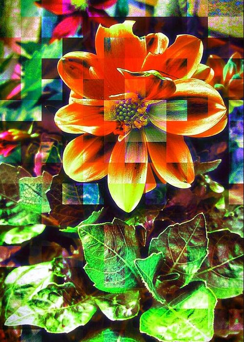 Love Greeting Card featuring the photograph Abstract Flowers #5 by Chris Drake