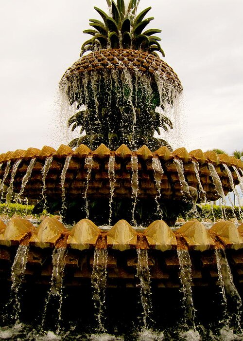 Fountain Greeting Card featuring the photograph Charleston fountain #5 by Alan Metzger