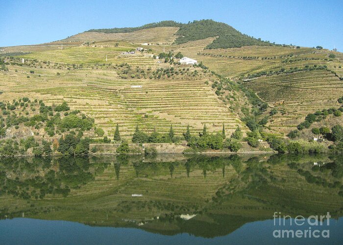 Landscape Greeting Card featuring the photograph Douro River Valley #5 by Arlene Carmel