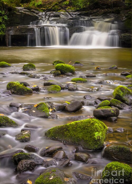 Airedale Greeting Card featuring the photograph Goit Stock Waterfall by Mariusz Talarek