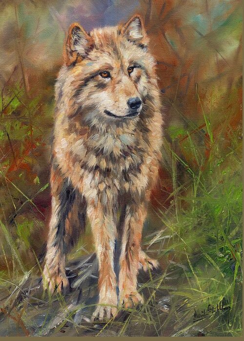Wolf Greeting Card featuring the painting Grey Wolf #5 by David Stribbling