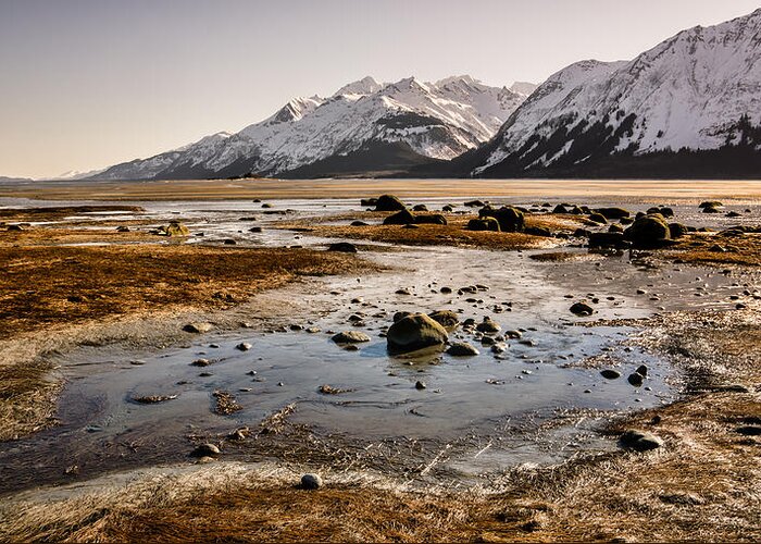 Alaska Greeting Card featuring the photograph Low Tide #5 by Michele Cornelius