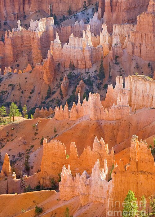 00431147 Greeting Card featuring the photograph Sandstone Hoodoos in Bryce Canyon by Yva Momatiuk John Eastcott