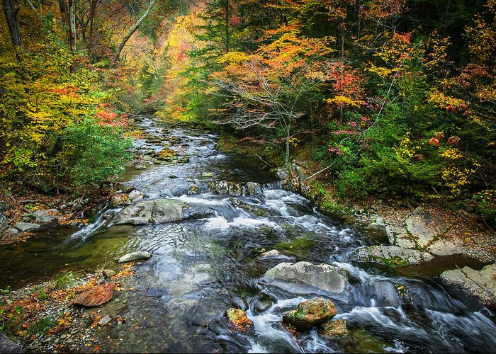 Stream Greeting Card featuring the photograph Stream Great Smoky Mountains Painted #4 by Rich Franco