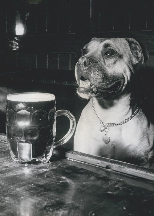 retro Images Archive Greeting Card featuring the photograph Enjoying a Pint by Retro Images Archive