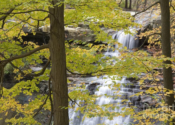 Cuyahoga Greeting Card featuring the photograph Cuyahoga Valley National Park #6 by Jim West
