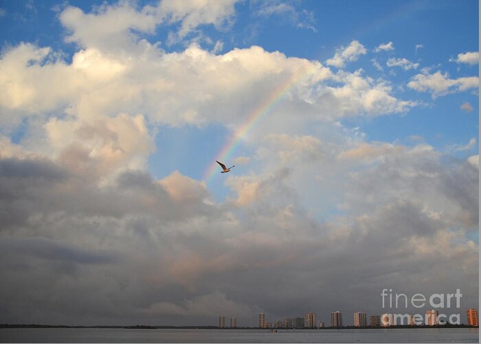 Rainbow Greeting Card featuring the photograph 6- Rainbow and Seagull by Joseph Keane