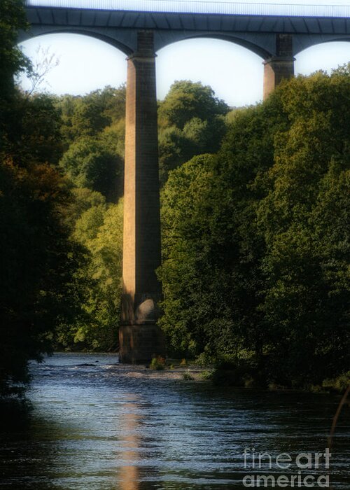 Trees Greeting Card featuring the photograph Pontcysyllte Aqueduct and Trevor Basin by Doc Braham