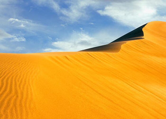 Photography Greeting Card featuring the photograph Sand Dunes In A Desert, Great Sand #6 by Panoramic Images