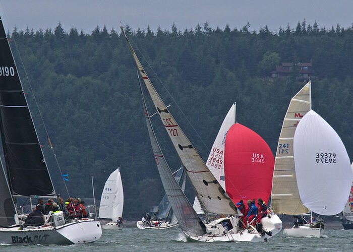 Whidbey Greeting Card featuring the photograph Whidbey Island Race Week #63 by Steven Lapkin