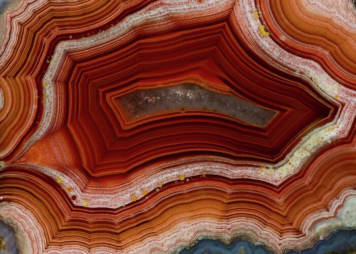 Agate Greeting Card featuring the photograph Banded Agate, Sammamish, Washington #7 by Darrell Gulin