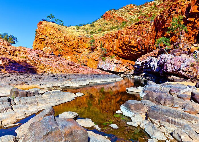 Ormiston Gorge Outback Landscape Central Australia Water Hole Northern Territory Australian West Mcdonnell Ranges Greeting Card featuring the photograph Ormiston Gorge #11 by Bill Robinson
