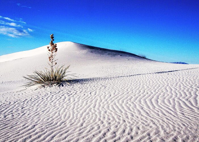 Away From It All Greeting Card featuring the photograph USA, New Mexico, White Sands National #7 by Terry Eggers