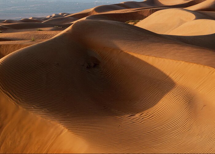 Asia Greeting Card featuring the photograph Wahiba Sands Desert, Oman #7 by Sergio Pitamitz