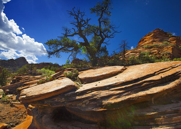 Landscape Greeting Card featuring the photograph Zion National Park Utah USA #33 by Richard Wiggins