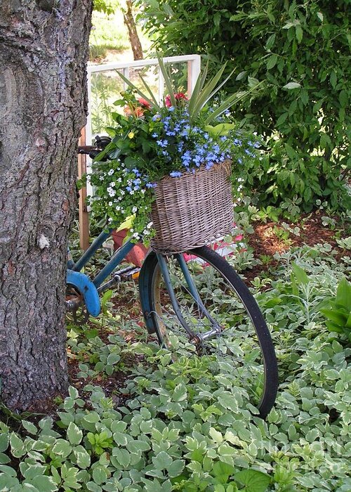 #755 D45 Bike Tree.jpg Greeting Card featuring the photograph #755 D45 Bike And A Basket of Flowers #755 by Robin Lee Mccarthy Photography