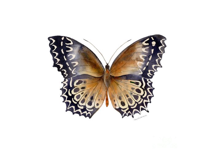 Cethosia Greeting Card featuring the painting 77 Cethosia Butterfly by Amy Kirkpatrick