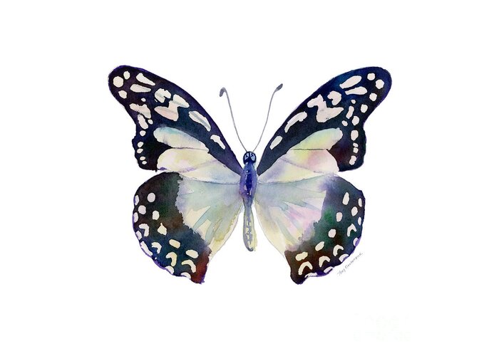 Angola White Lady Butterfly Greeting Card featuring the painting 90 Angola White Lady Butterfly by Amy Kirkpatrick