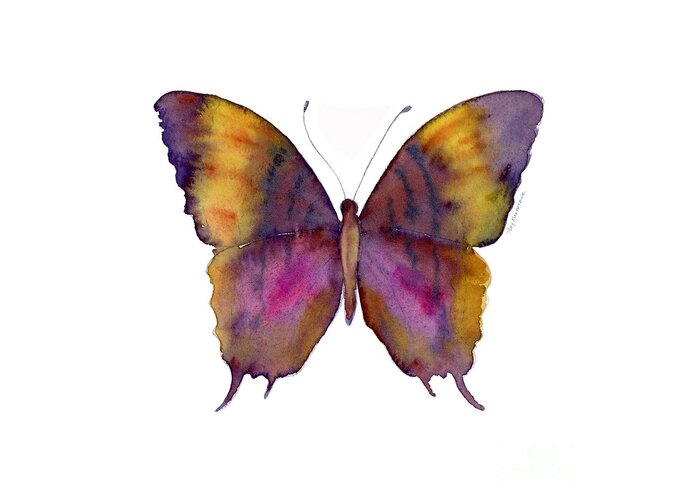 Marcella Daggerwing Butterfly Greeting Card featuring the painting 99 Marcella Daggerwing Butterfly by Amy Kirkpatrick