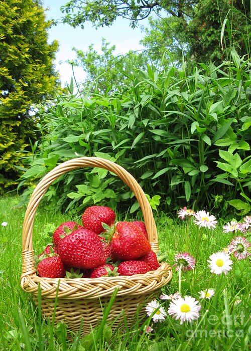 Strawberries Greeting Card featuring the photograph A basket of Strawberries by Ausra Huntington nee Paulauskaite