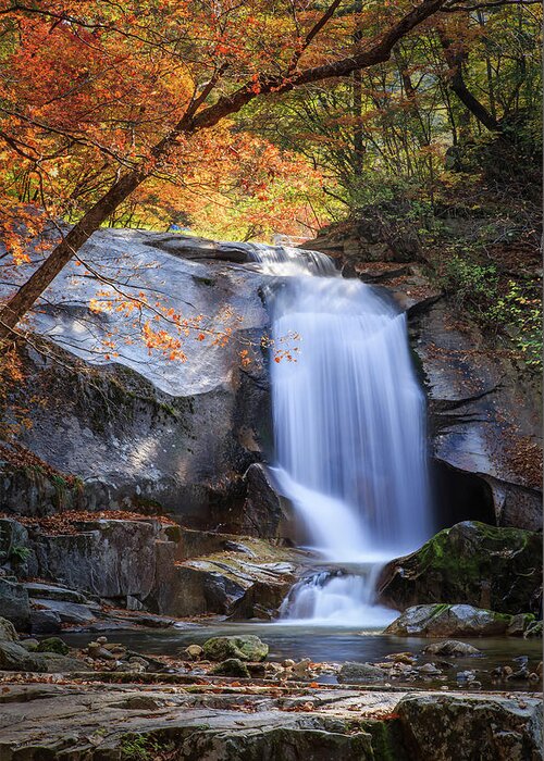 Scenics Greeting Card featuring the photograph A Cascade With Autumn Foliage by Sungjin Kim