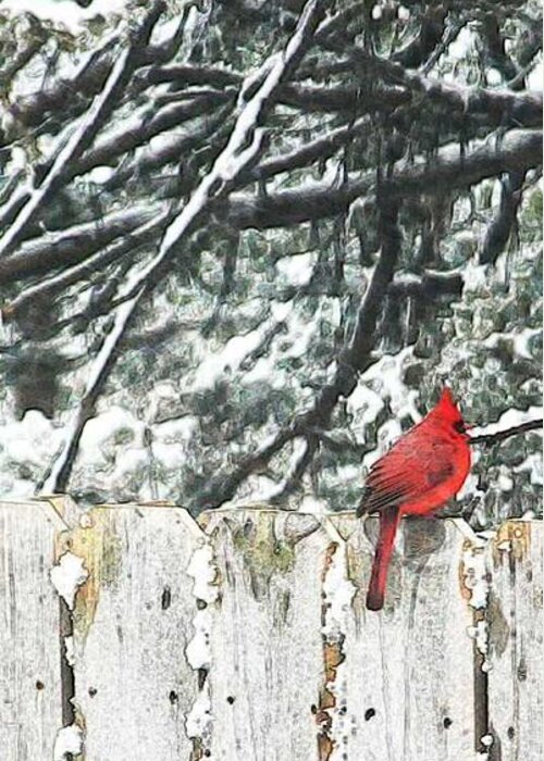 Christmas Greeting Card featuring the painting A Christmas Cardinal by PainterArtist FIN
